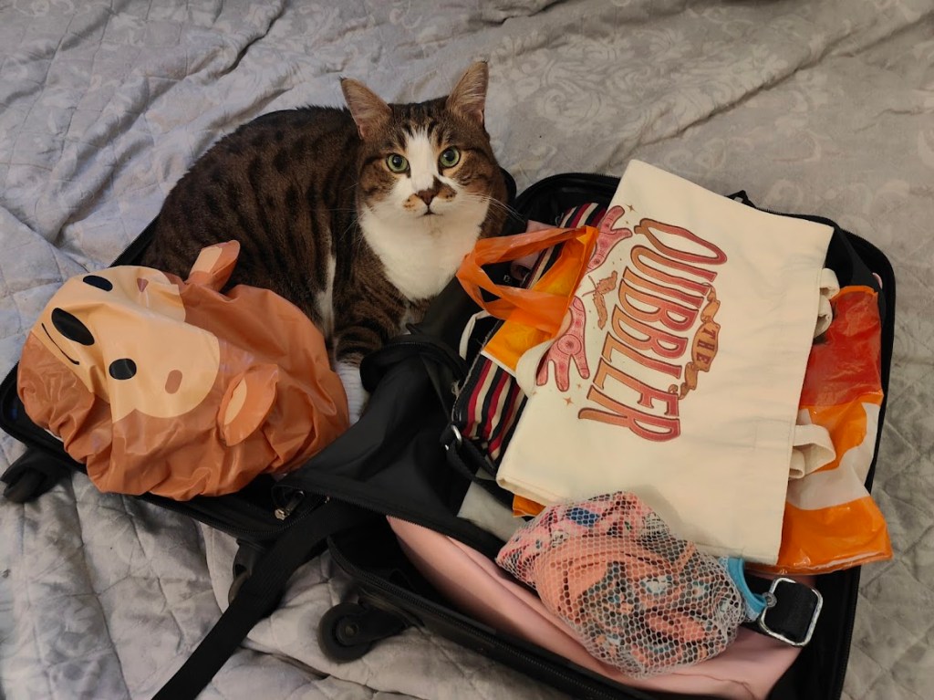 Playful tabby cat sitting in partially packed suitcase on bed, surrounded by travel bags and packing items.